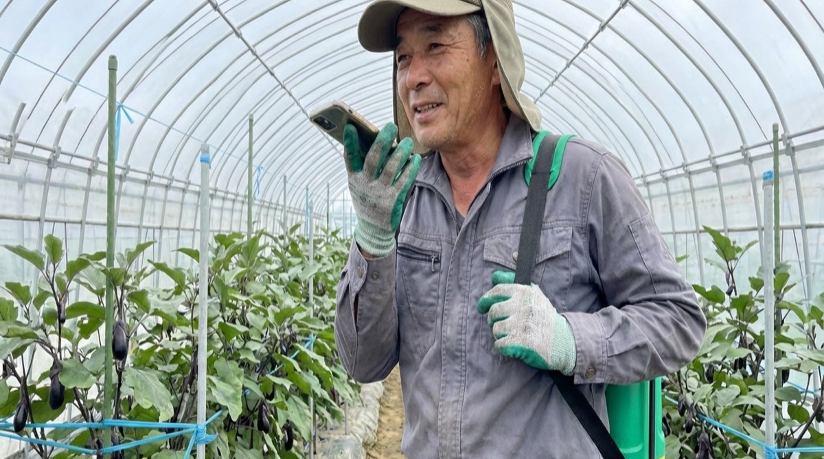 音声入力で栽培管理記録を行う農家